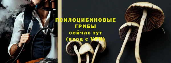 прущая мука Майский